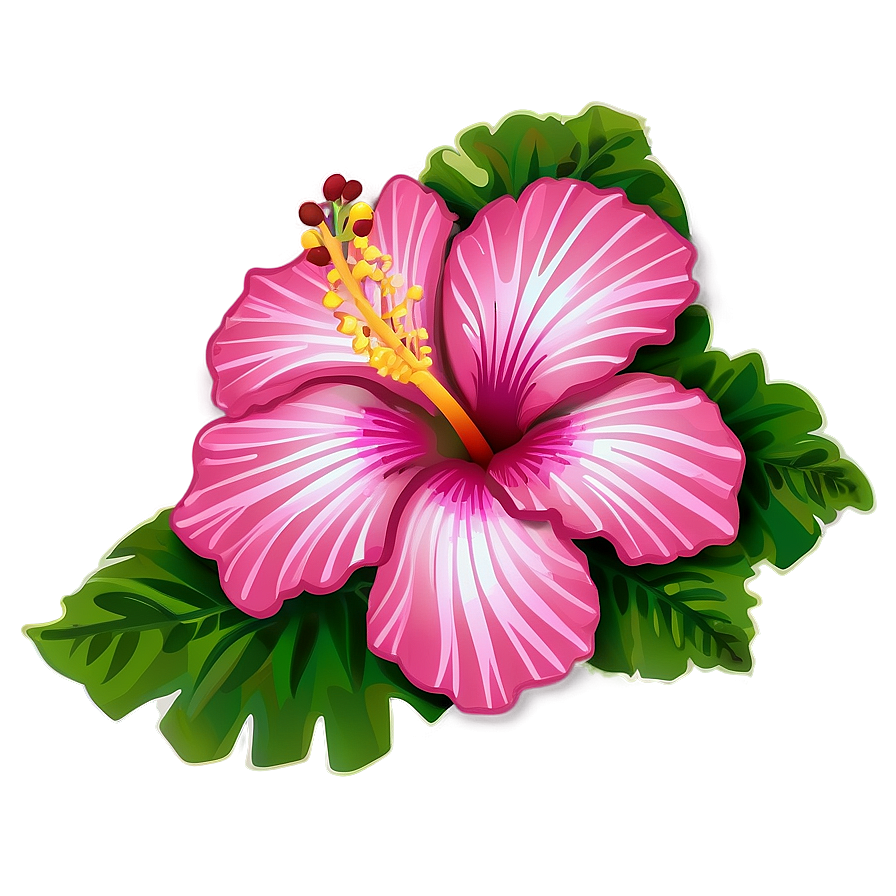 Hibiscus Clipart Png 05232024