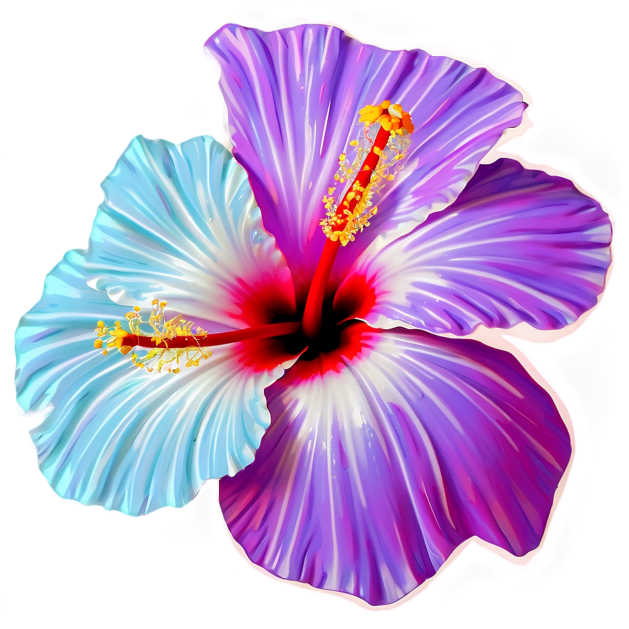 Hibiscus Clipart Png Sau