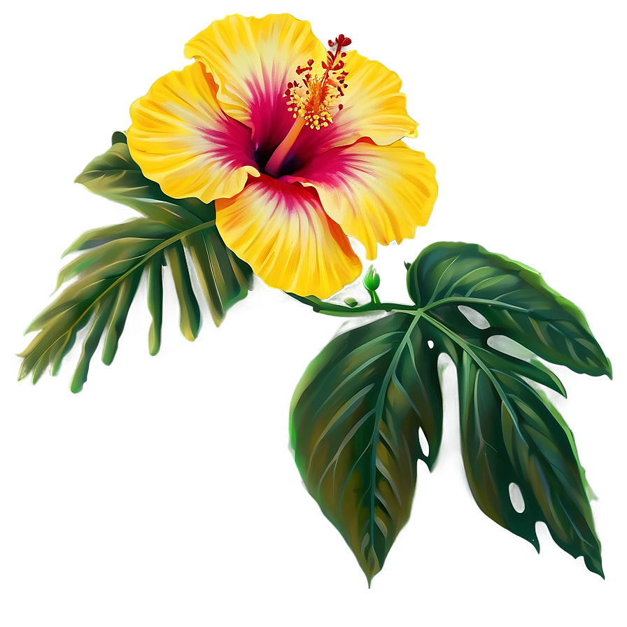 Hibiscus Flower Png Bli98