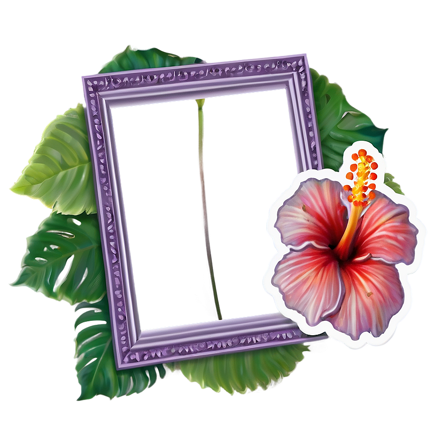 Hibiscus Frame Png Mtd44