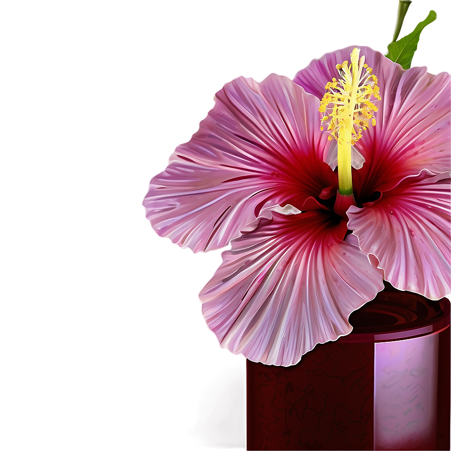 Hibiscus In Vase Png 82