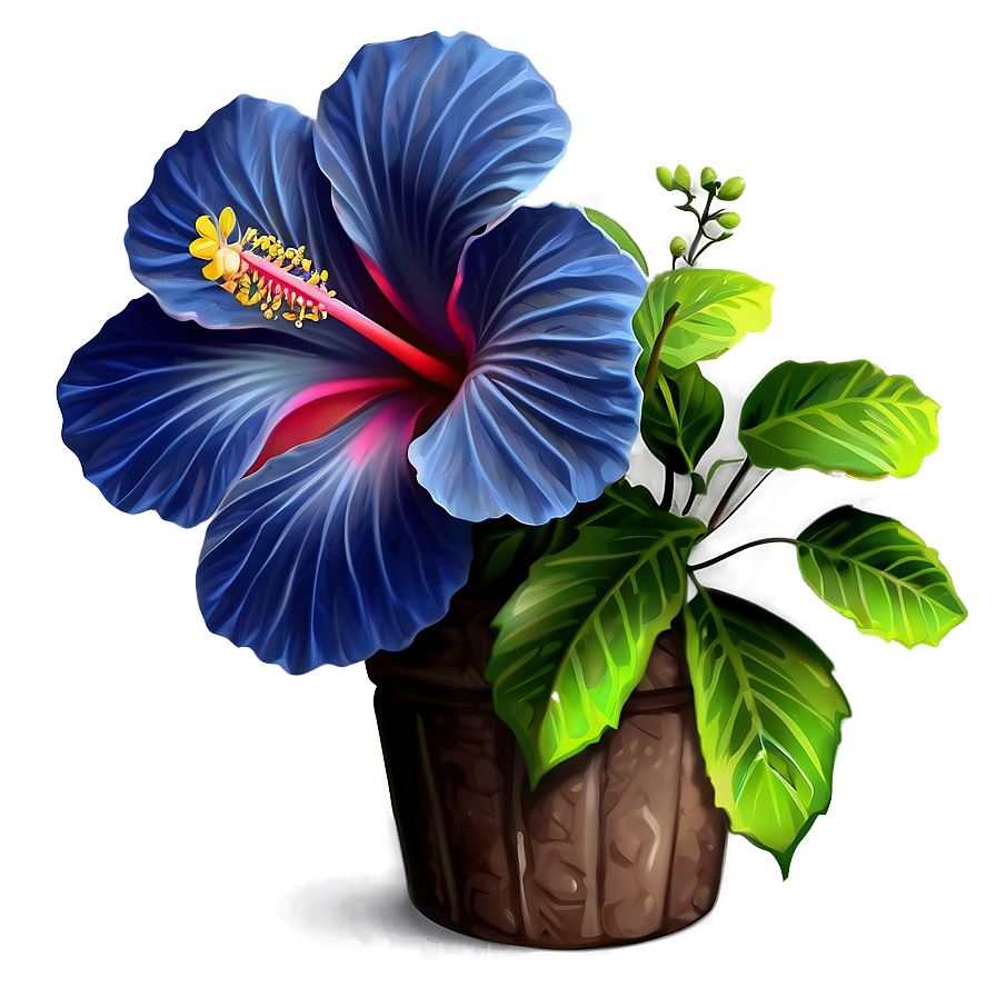 Hibiscus Plant Png Tfo