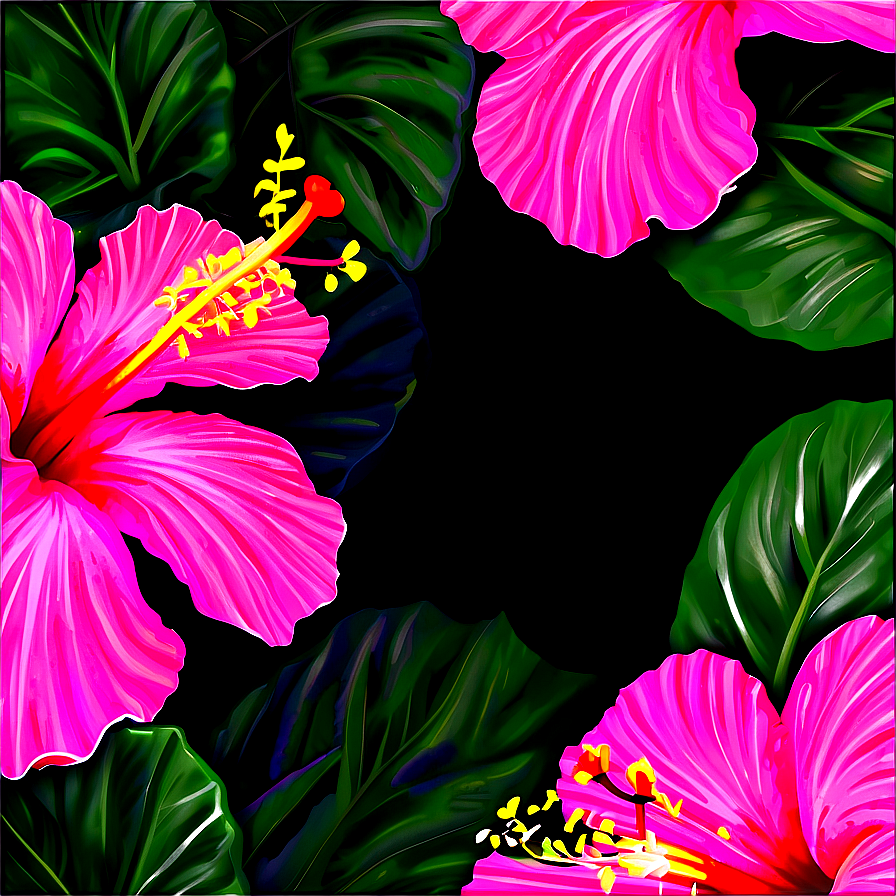 Hibiscus Sunset Glow Png 97