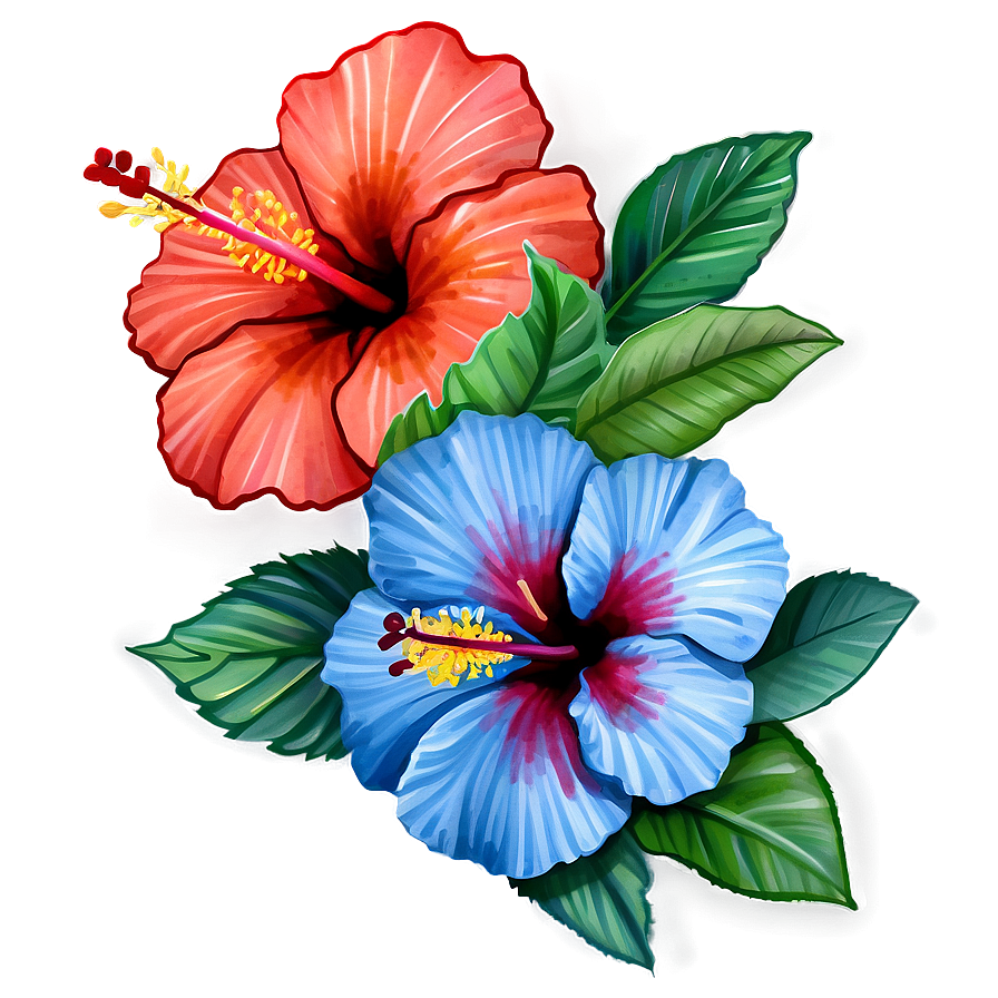 Hibiscus Watercolor Png 38