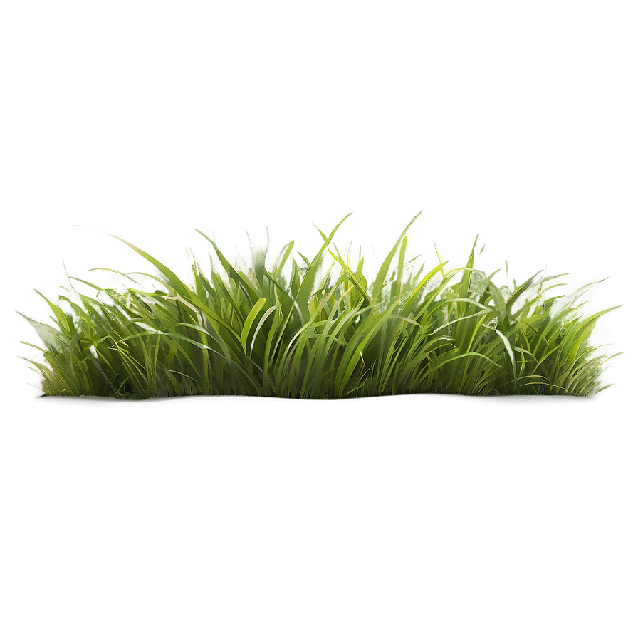 High Quality Grass Clipart Png Rkc35