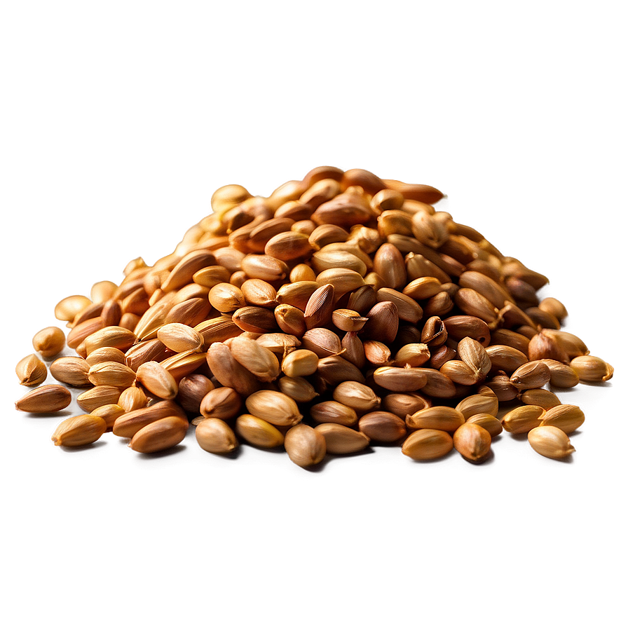 High-quality Wheat Grains Png 05252024