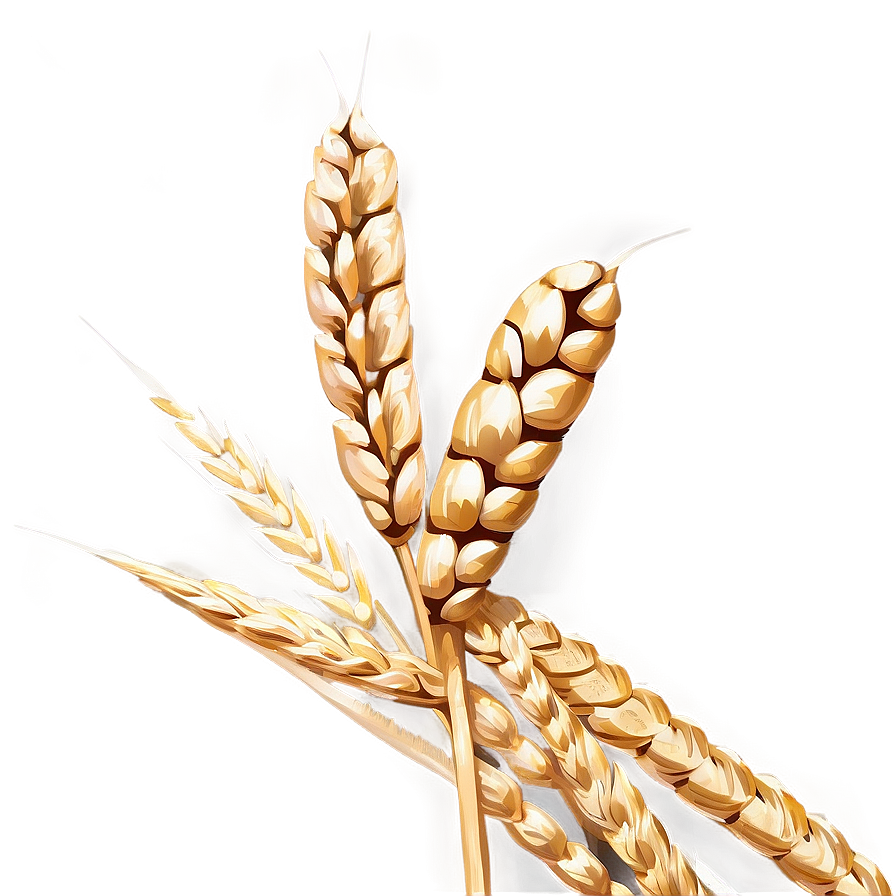 High-quality Wheat Grains Png Dpq