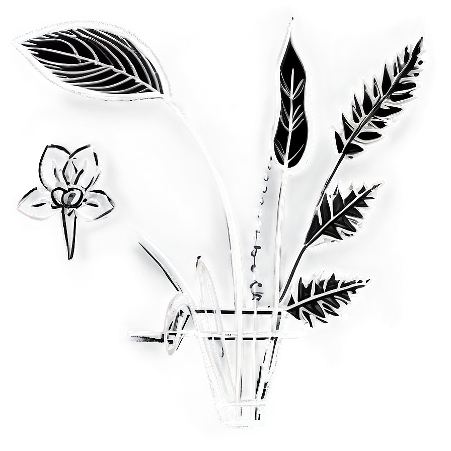 Historical Flower Sketch Png Syc2