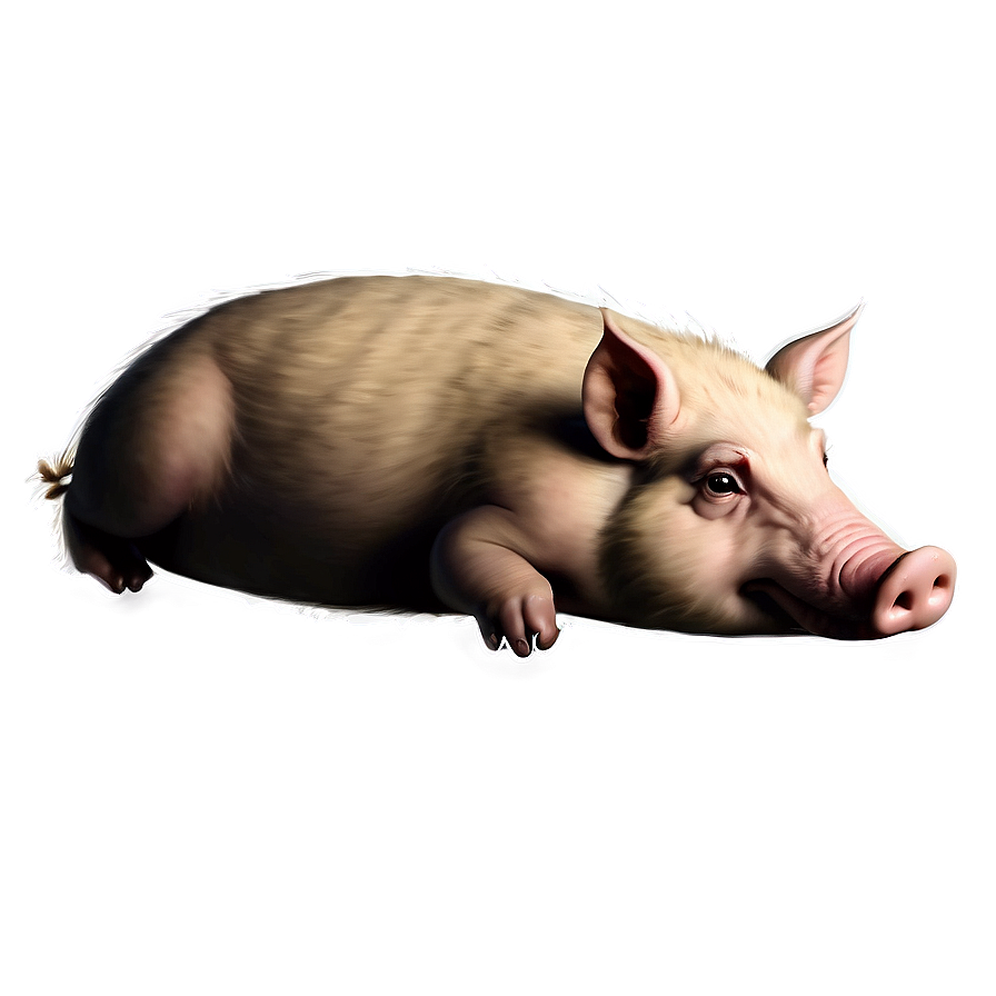 Hog Sketch Png 69