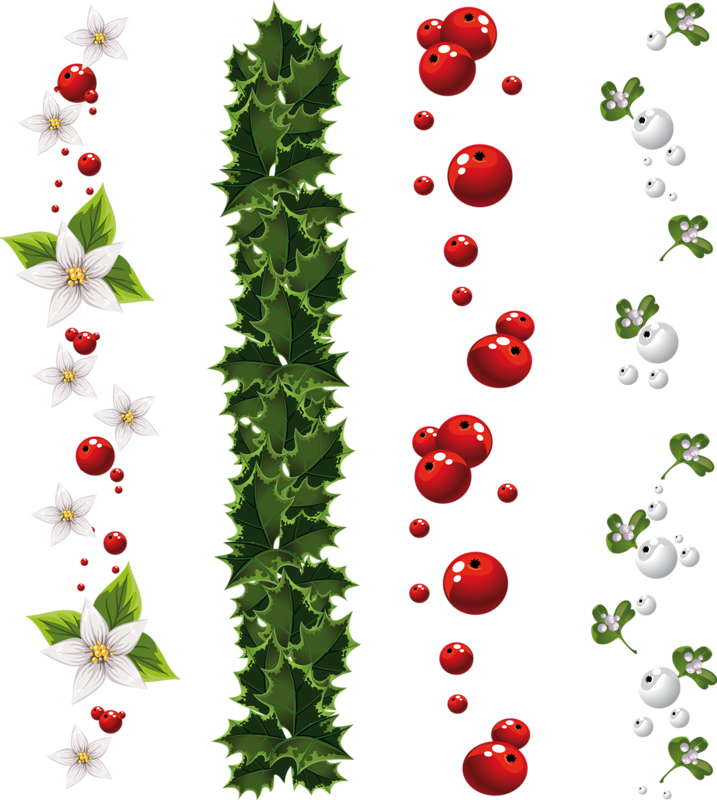 Holiday Hollyand Berries Pattern