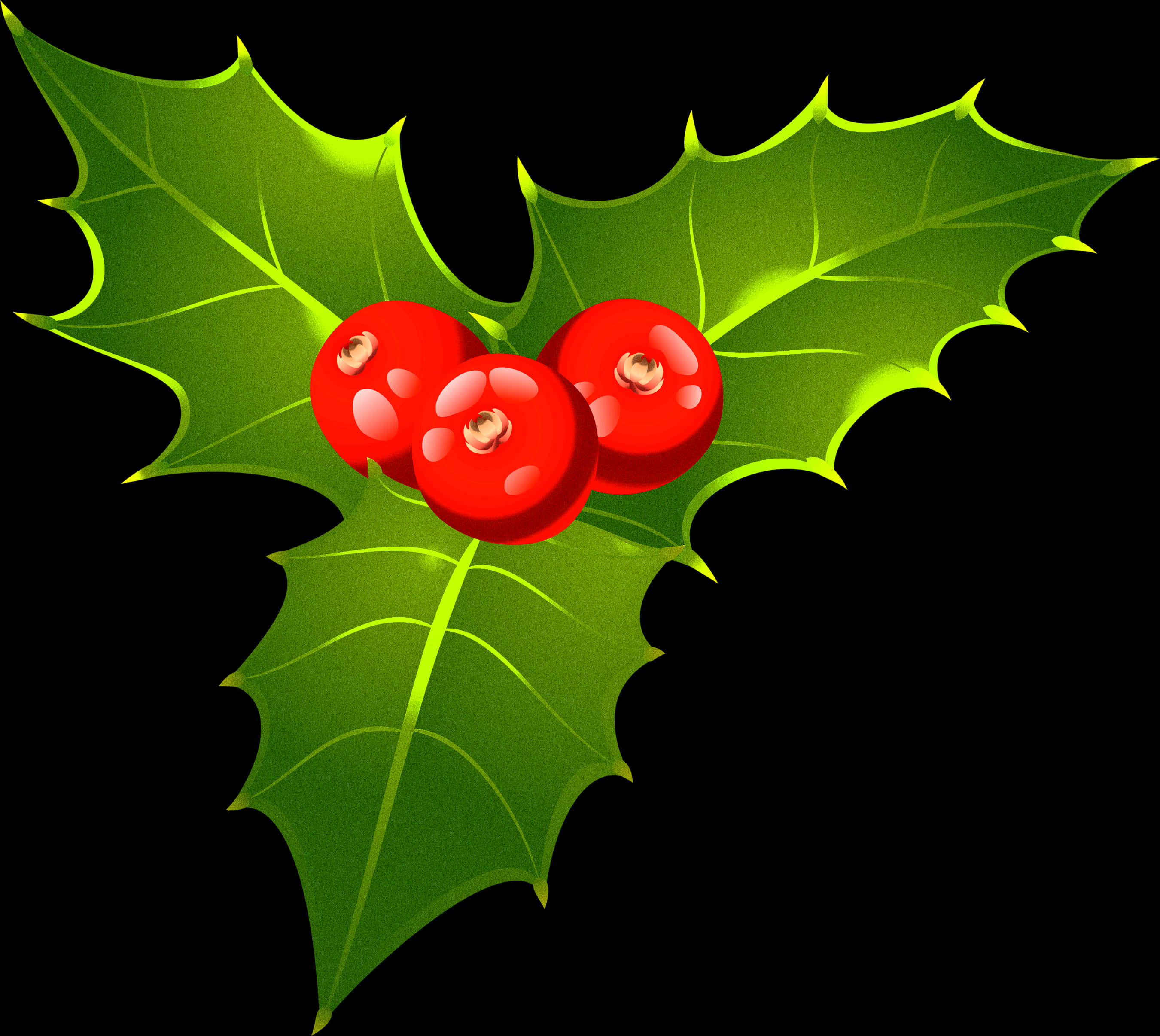 Holly Berries Leaf Clipart