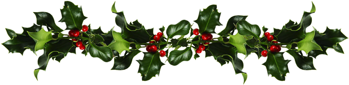 Holly Branch Decoration.png