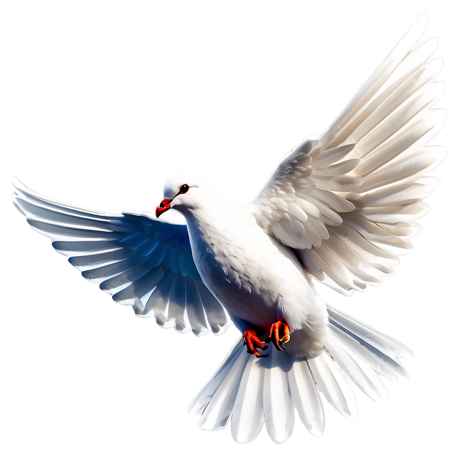 Holy Spirit Dove Png Dnk