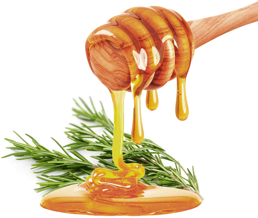 Honey Drippingon Rosemary Sprig