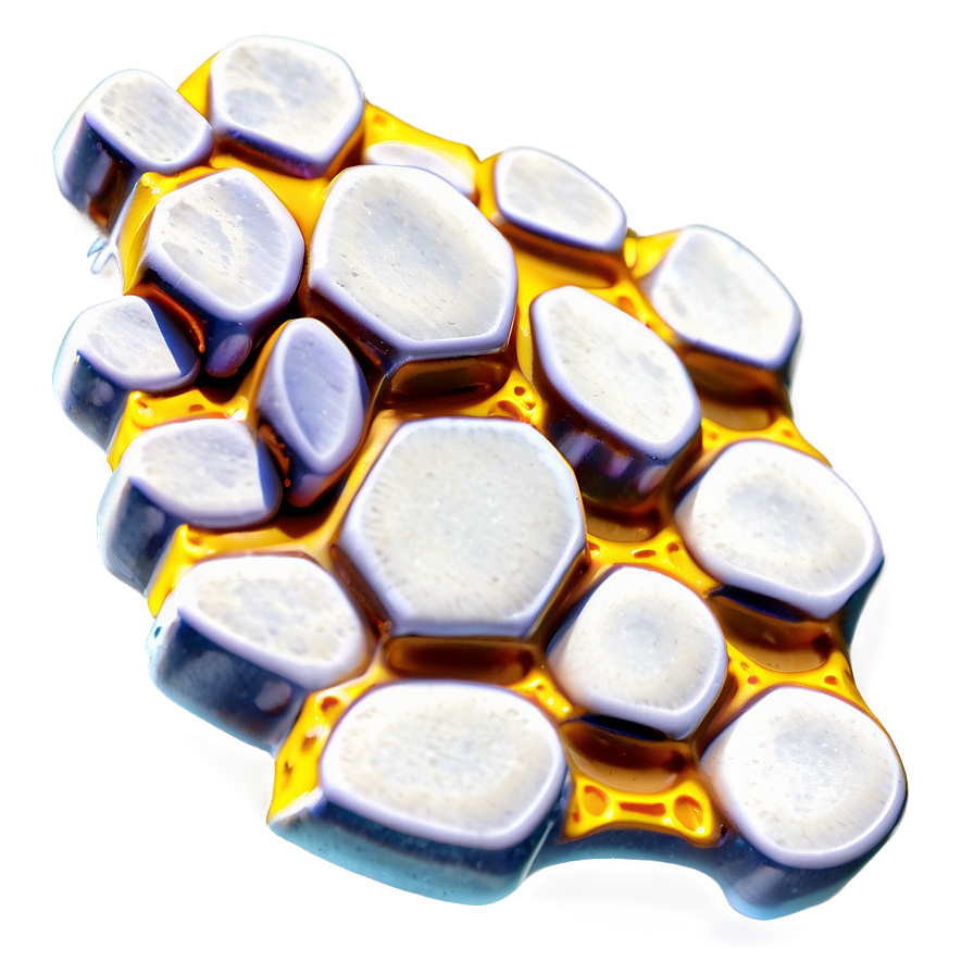 Honeycomb Cells Png 90