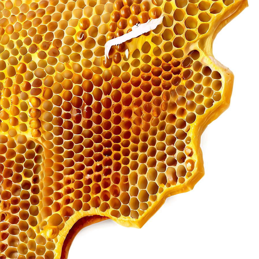 Honeycomb Closeup Png Sgg