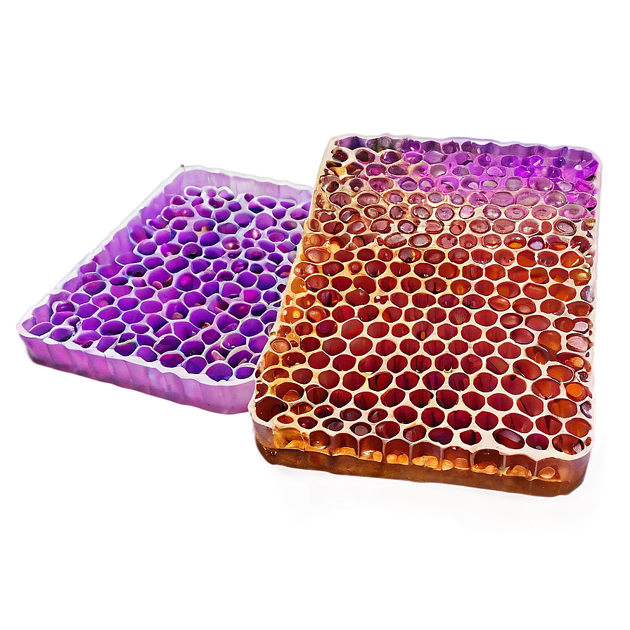 Honeycomb For Design Projects Png Krj