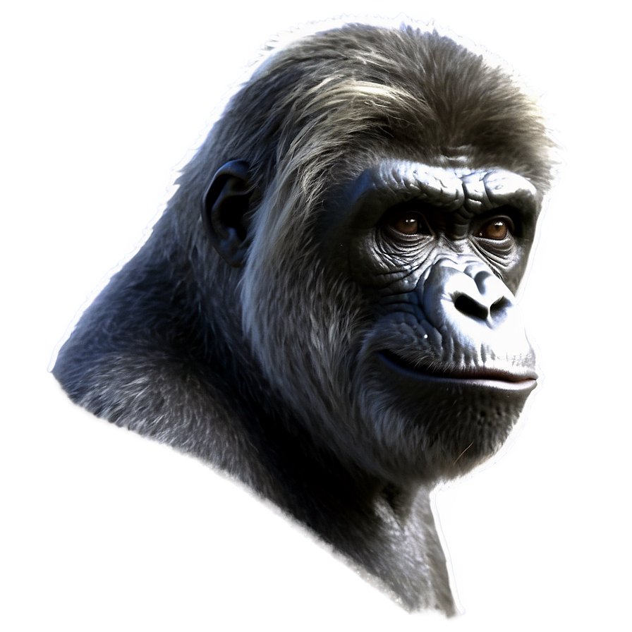 Honor Harambe Png 06262024