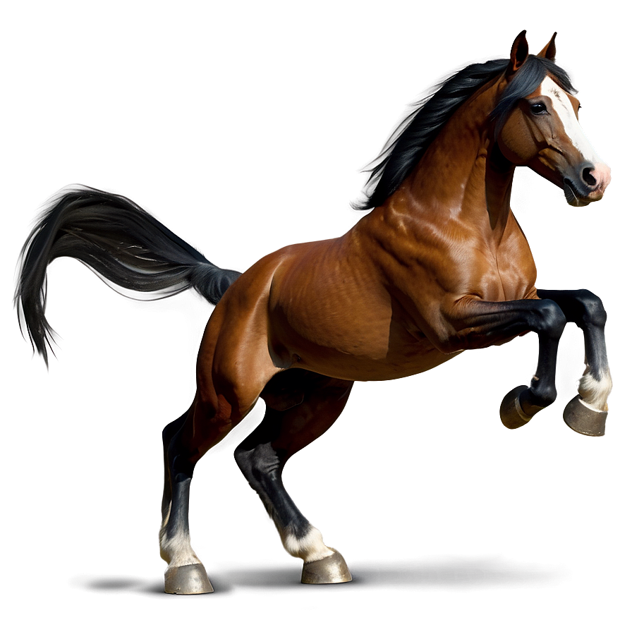 Horse Sketch Png 05032024