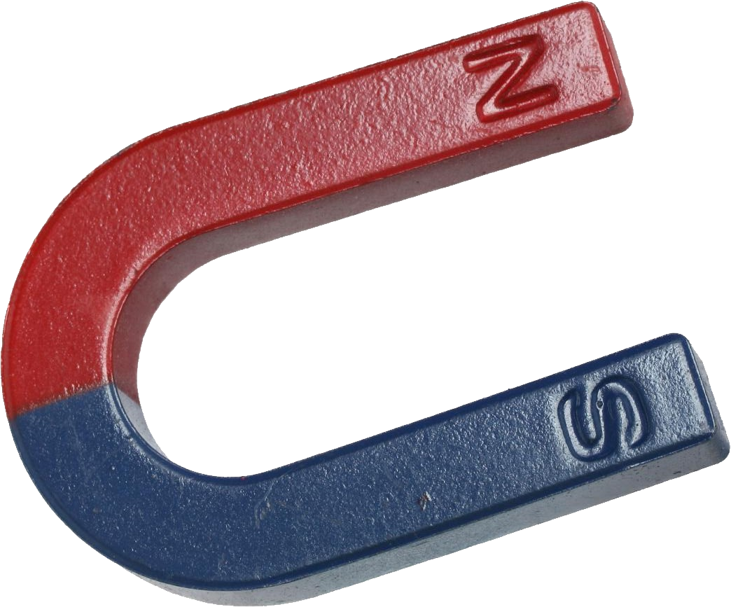 Horseshoe Magnet Red Blue