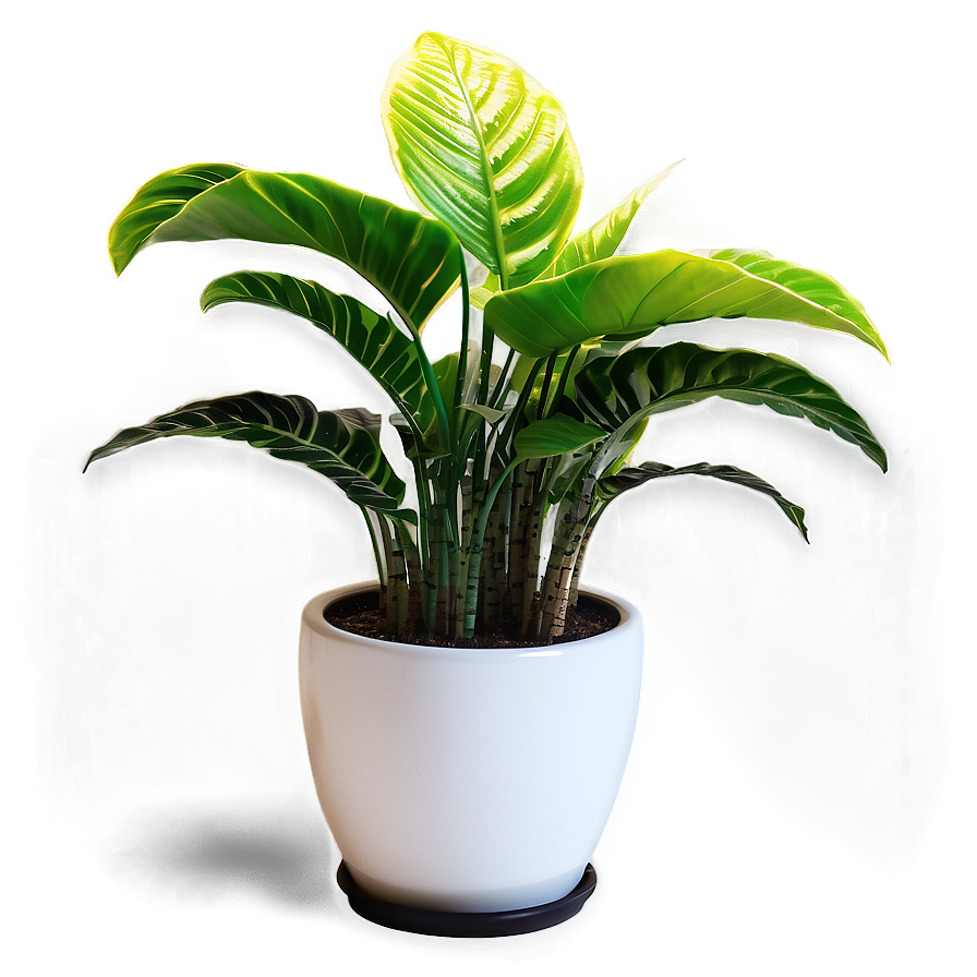 House Plants Png Iph32