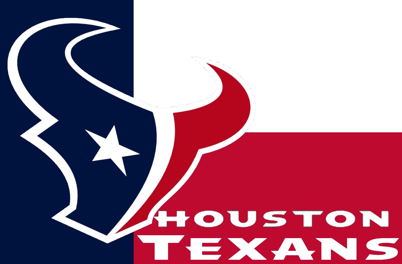 Houston Texans Logo