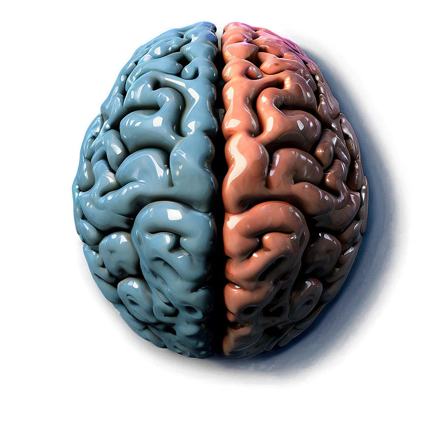 Human Brain Creative Thinking Png 51