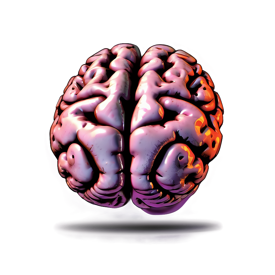 Human Brain Illustration Png 05242024