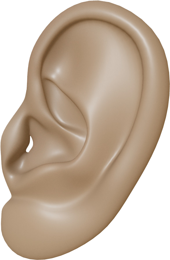 Human Ear Close Up