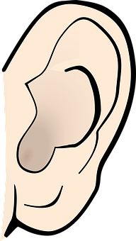 Human Ear Illustration