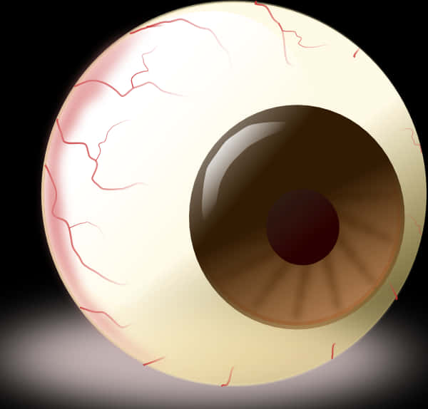 Human Eye Illustration