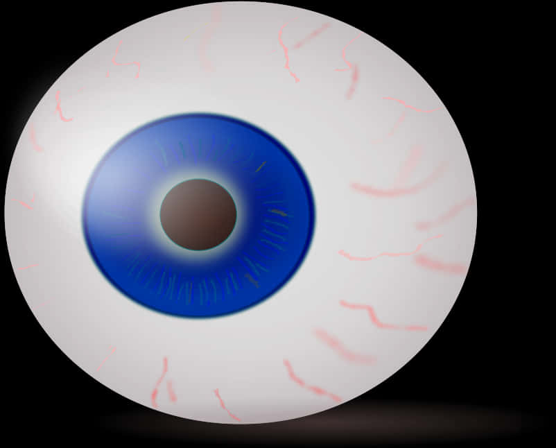 Human Eyeball Illustration