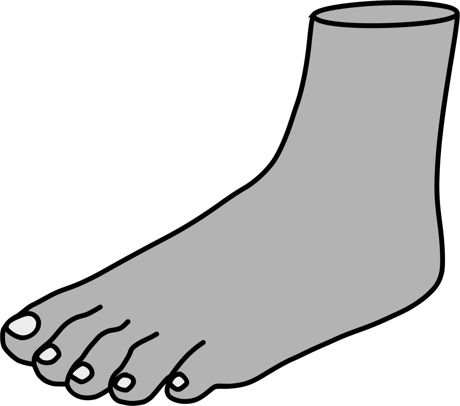 Human Foot Line Art Illustration