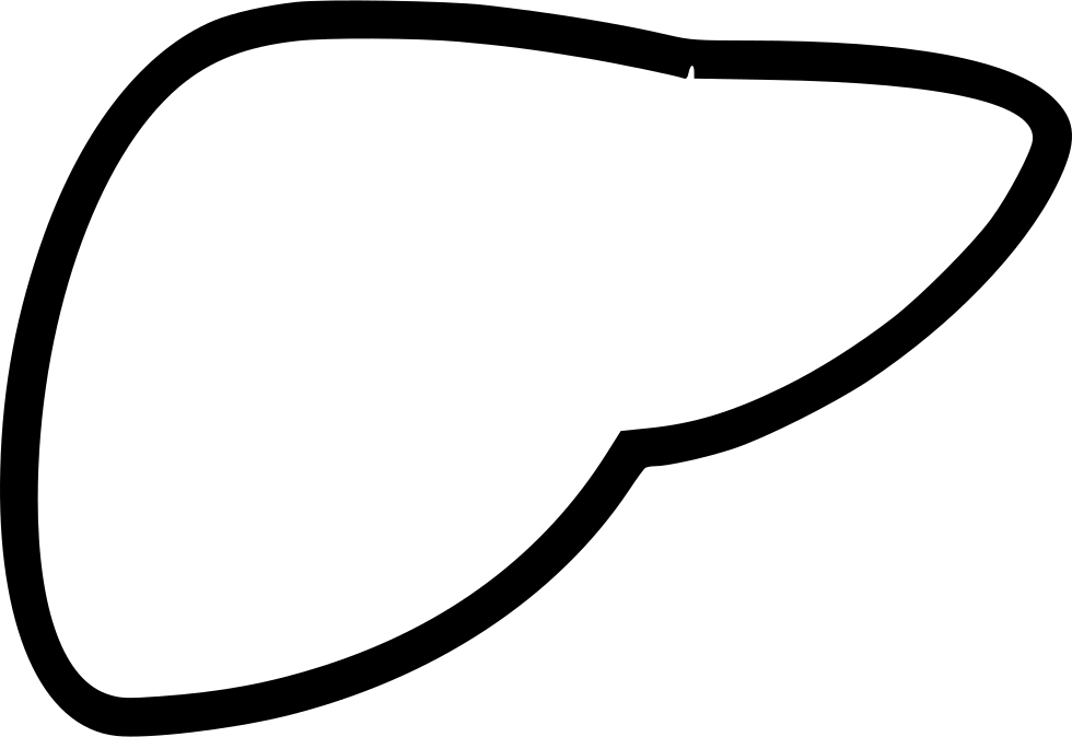 Human Liver Outline Graphic