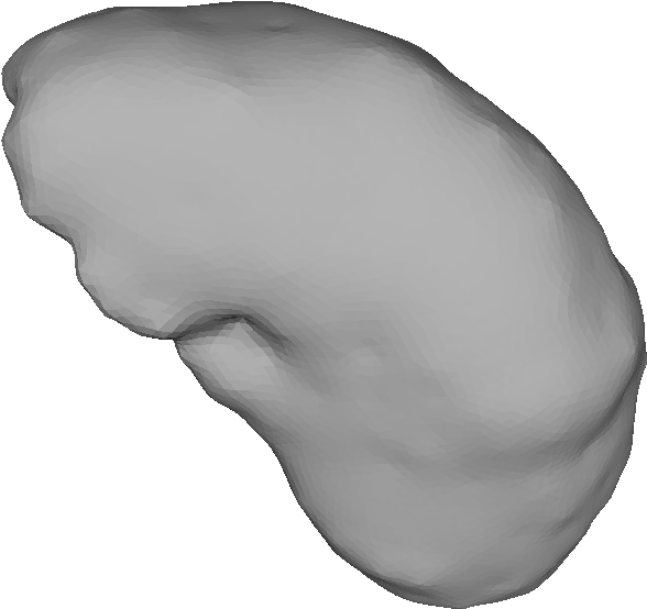 Human Liver3 D Model Rendering