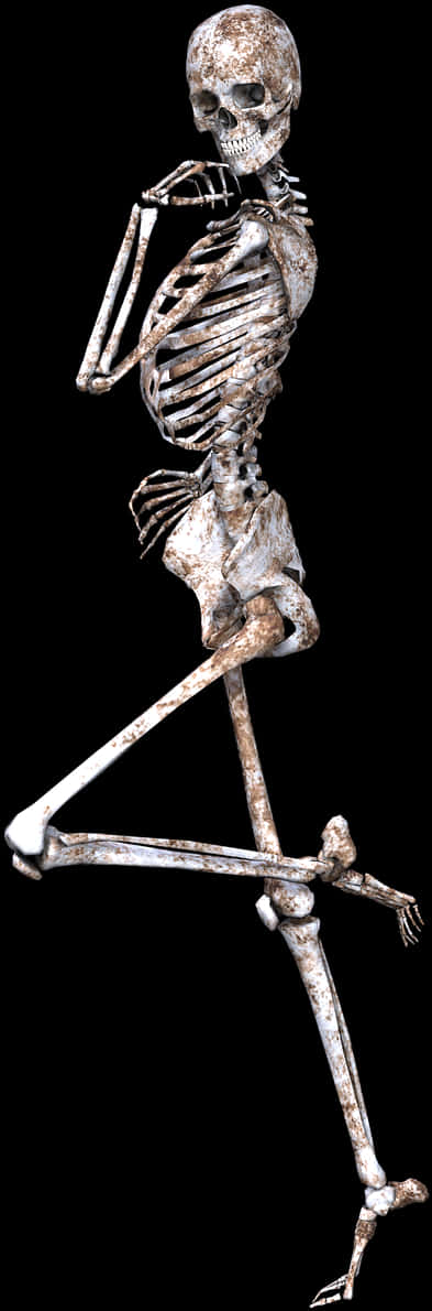 Human Skeleton Pondering Pose