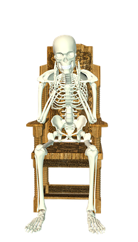 Human Skeleton Seatedon Chair