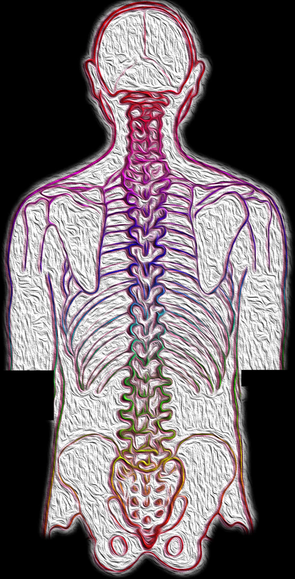 Human Spine Pain Artistic Representation