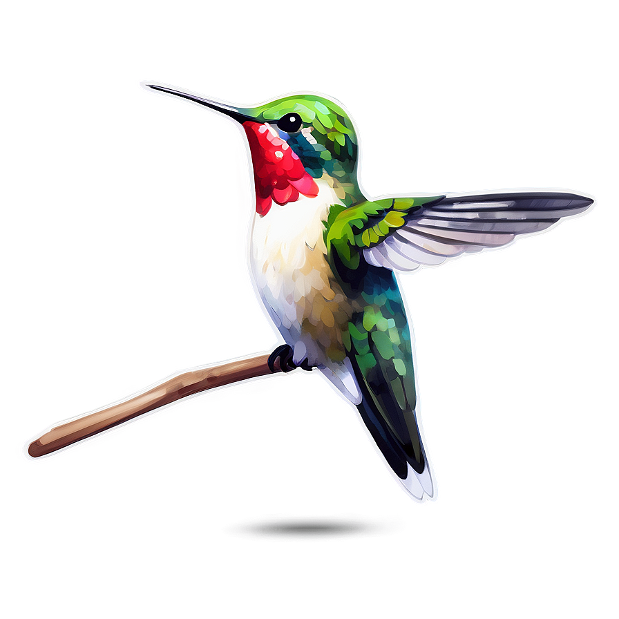 Hummingbird In Watercolor Style Png 17