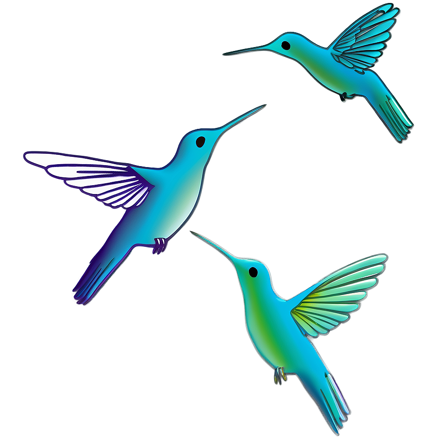 Hummingbird Outline Png Gim