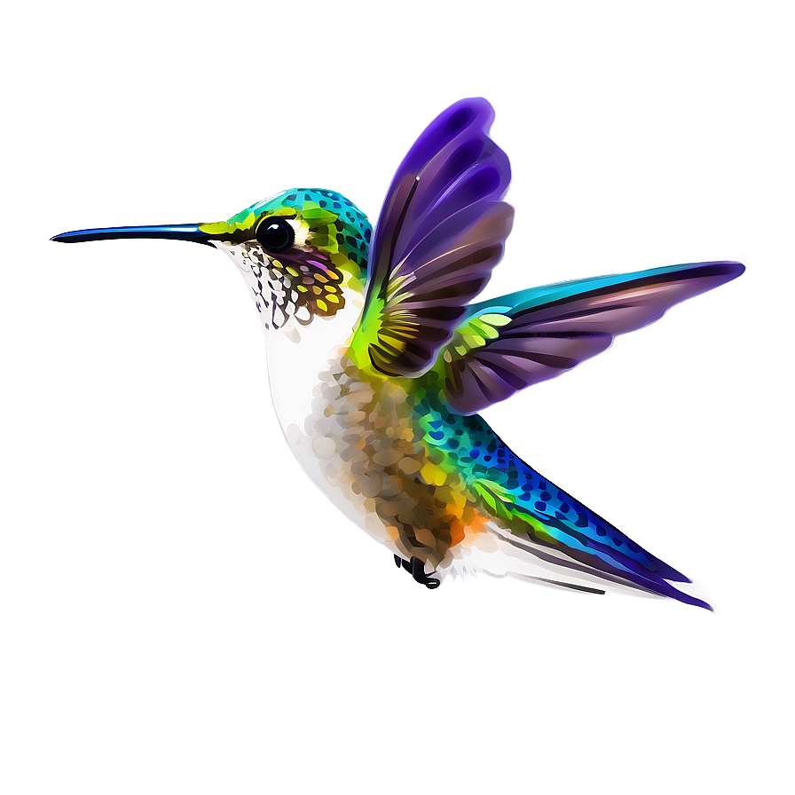 Hummingbird Profile Png Piv