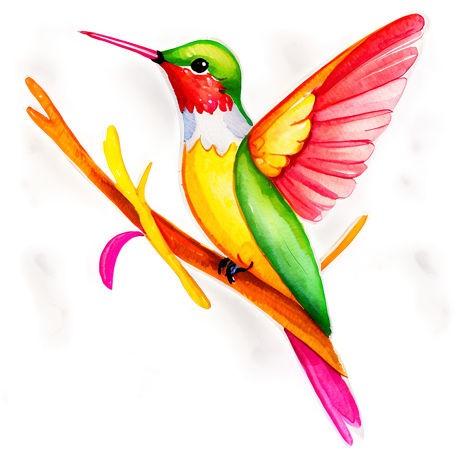 Hummingbird Watercolor Png Frg