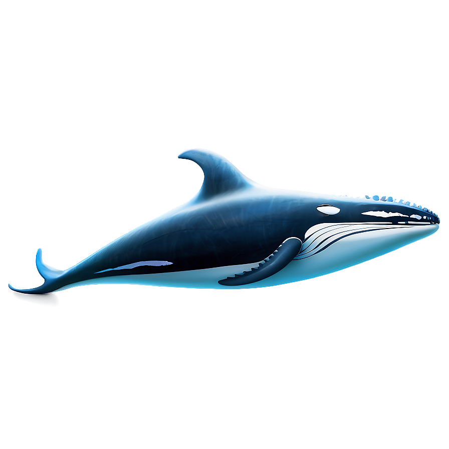 Humpback Whale Environmental Icon Png 06212024