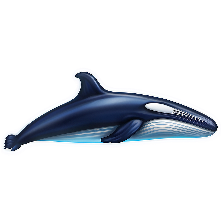 Humpback Whale Environmental Icon Png 95