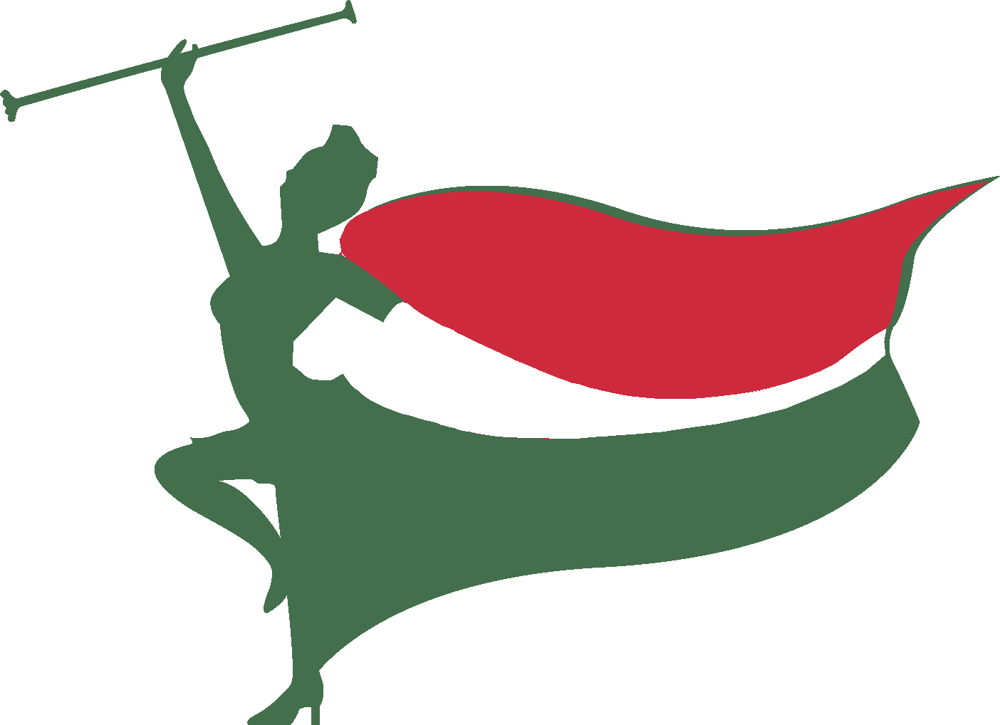 Hungarian Flag Silhouette