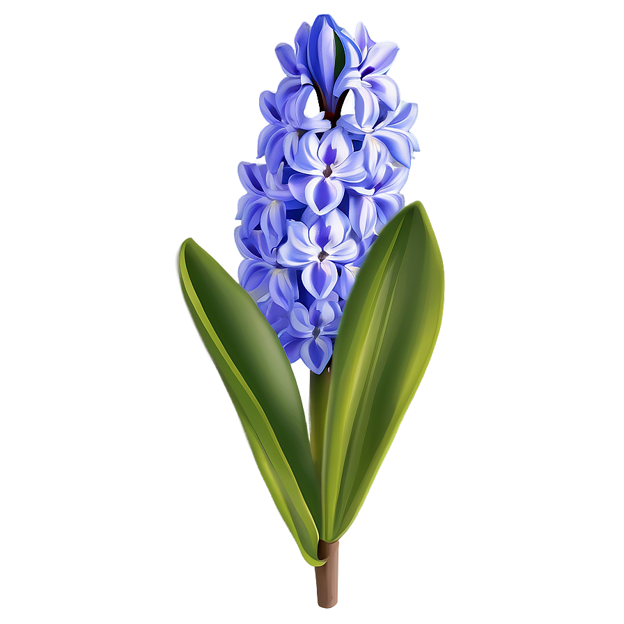 Hyacinth Flower Illustration Png Xju18