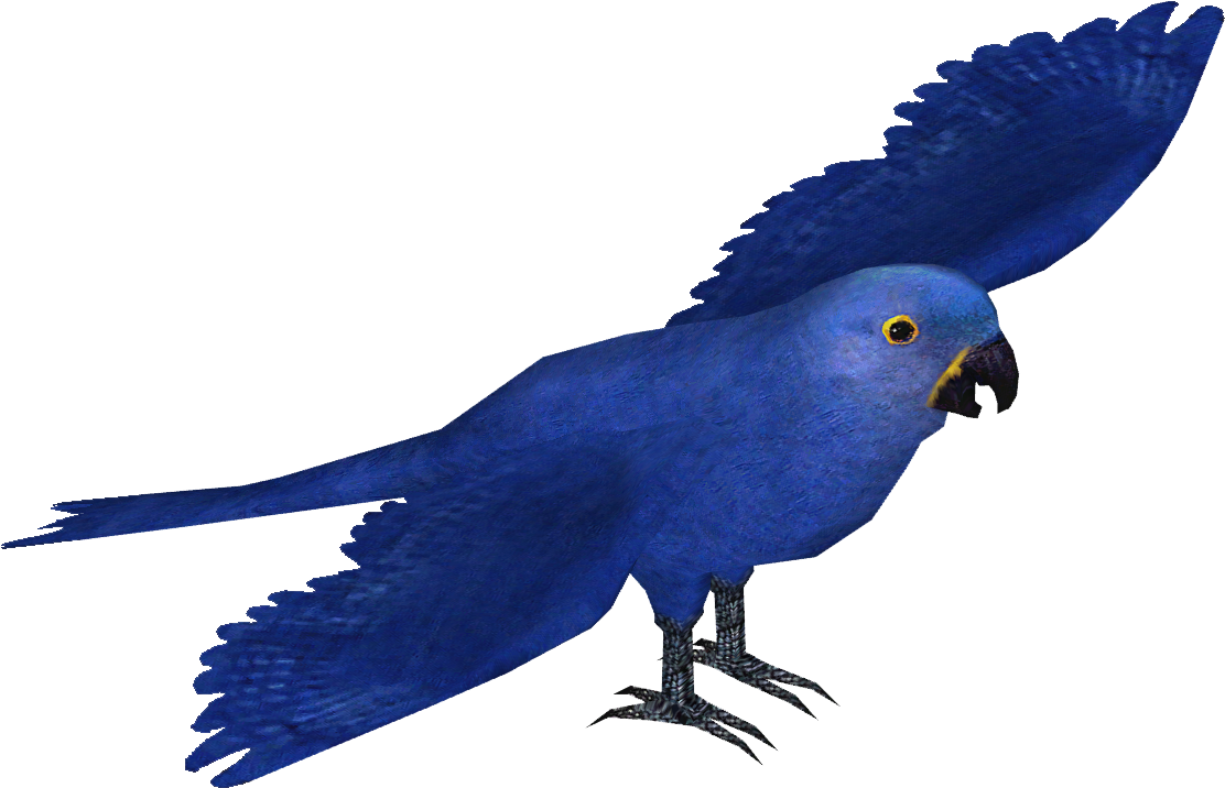 Hyacinth Macaw In Flight Illustration