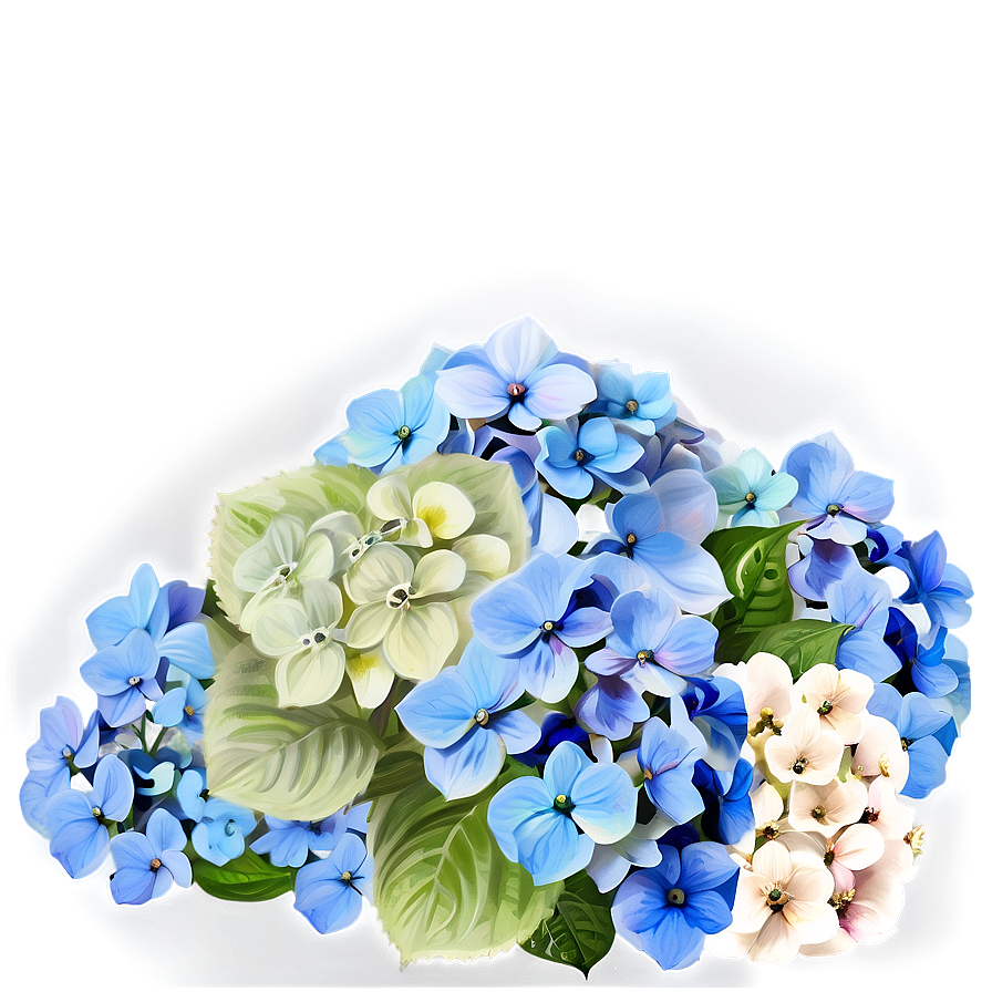 Hydrangea Bouquet Png 05242024
