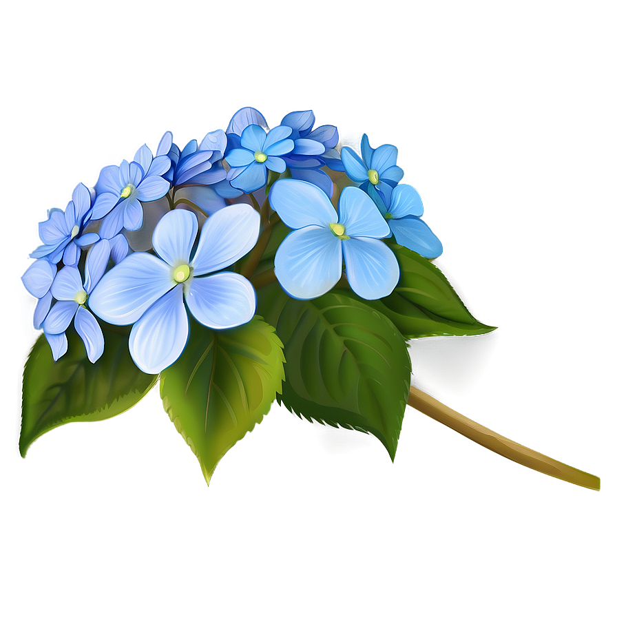 Hydrangea Clipart Png 13