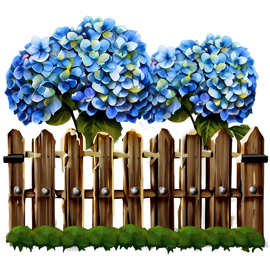 Hydrangea Fence Png 84